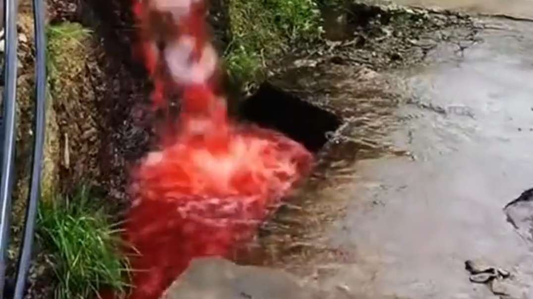 BREAKING NEWS: Red water flows along the rice terraces of Lunji! Gow China, China 🇨🇳. Who knows what is the reason