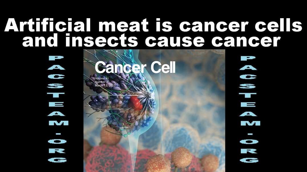 Artificial meat is cancer cells and insects cause cancer