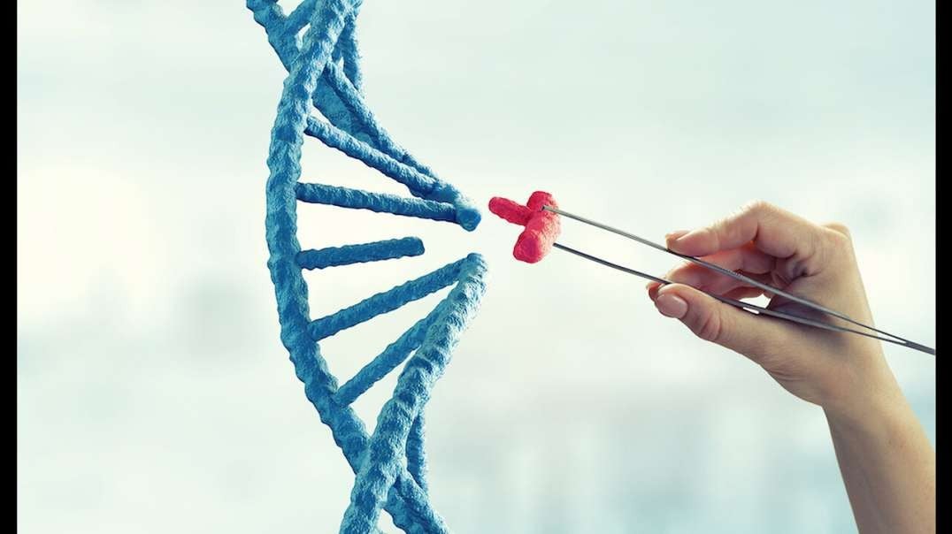 Kate Shemirani On Genetic Technology (Precision Breeding) Act & Methylene Blue