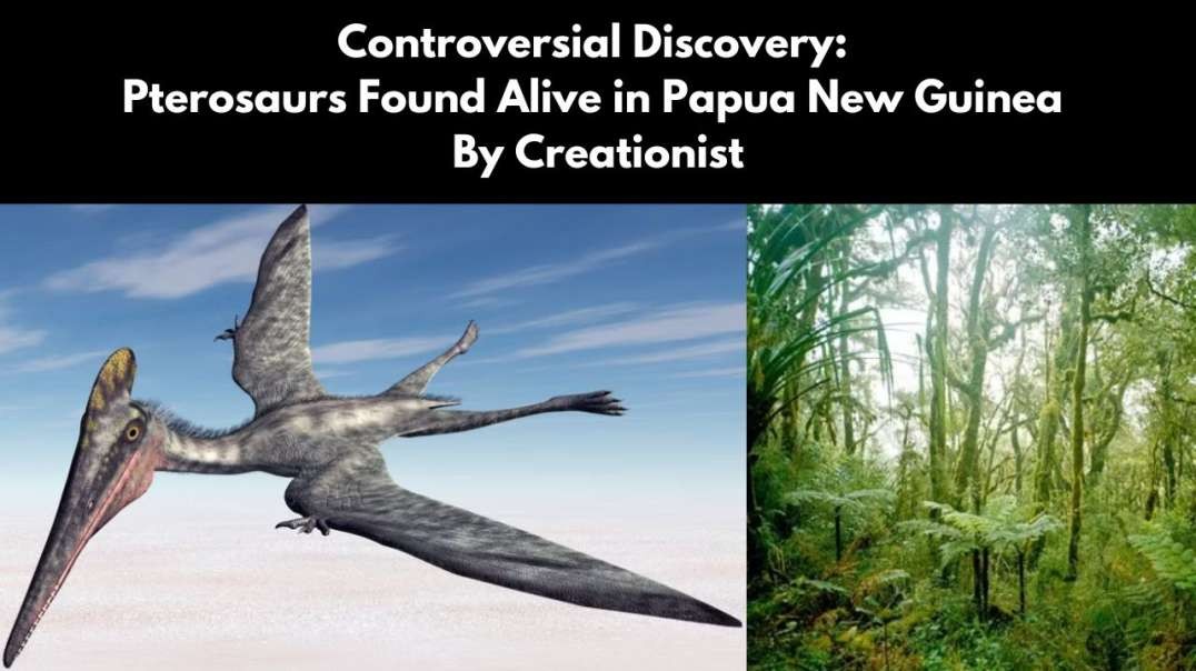 Controversial Discovery:  Pterosaurs Found Alive in Papua New Guinea By Creationist