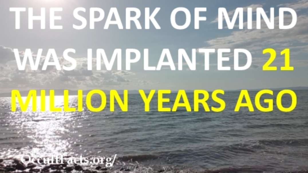 The Spark of Mind Was Implanted 21 Million Years Ago