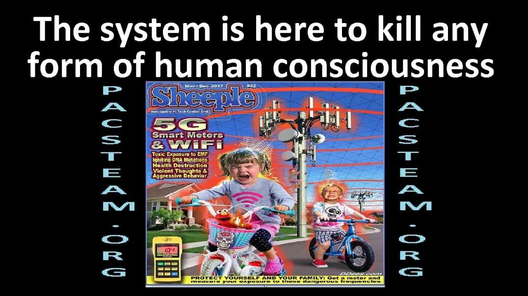 The system is here to kill any form of human consciousness