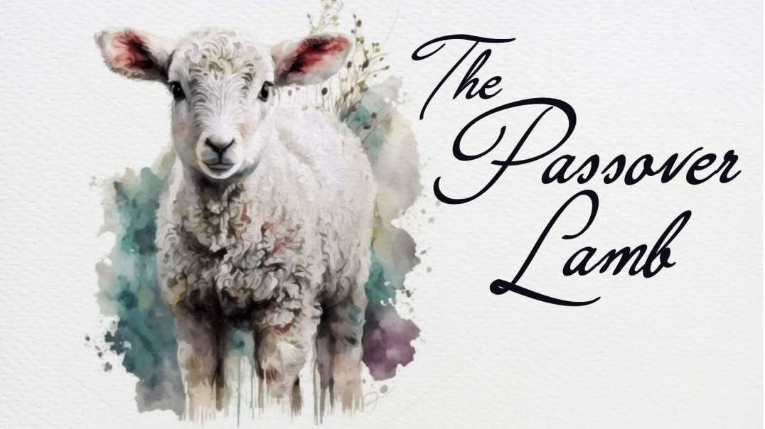 The Passover Lamb Pt 1