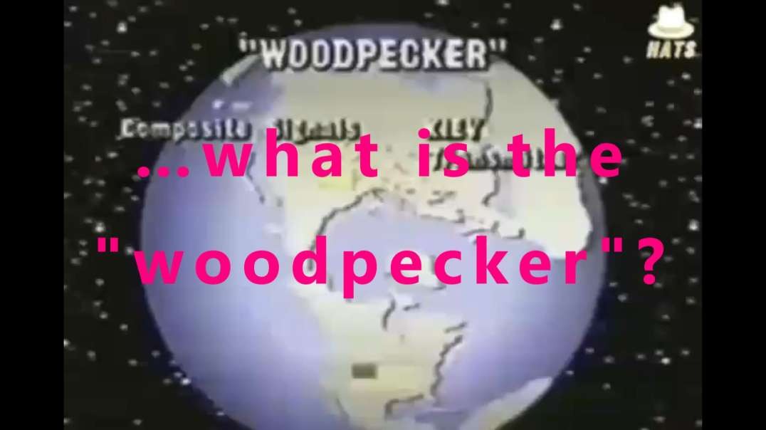 …what is the "woodpecker"?