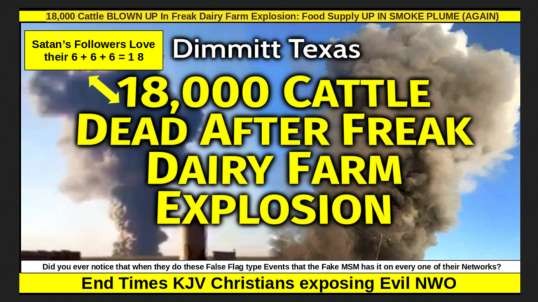 18,000 Cattle BLOWN UP In Freak Dairy Farm Explosion: Food Supply UP IN SMOKE PLUME (AGAIN)