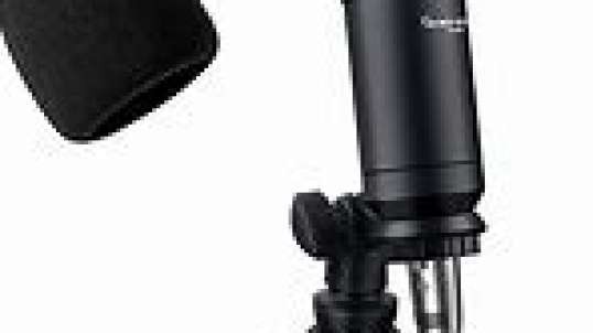 Hayner seek L02-51A Condenser microphone Review.