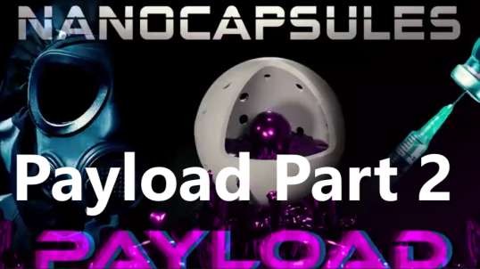 PAYLOAD 2 - NANOCAPSULES