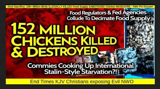 Govt Sacrifice: 150+ Million Birds ILLEGALLY KILLED Food Supply SABOTAGED Chicken MASSACRE - Fake Flu Excuse!