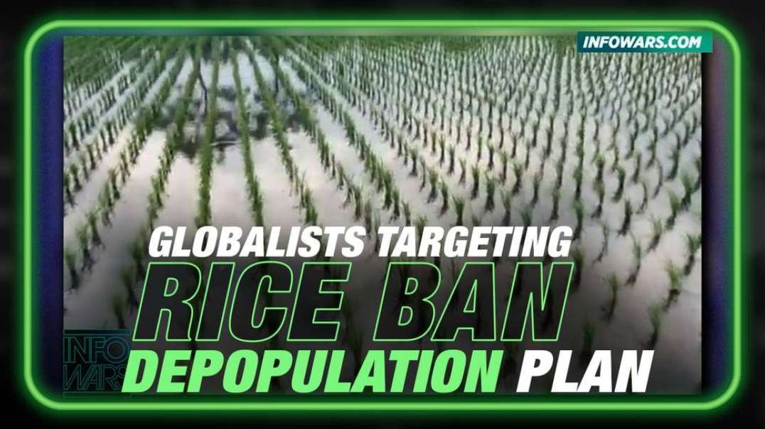 Globalist Death Cult Depopulation Plan Targeting Rice Ban
