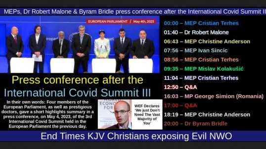 MEPs, Dr Robert Malone & Byram Bridle press conference after the International Covid Summit III