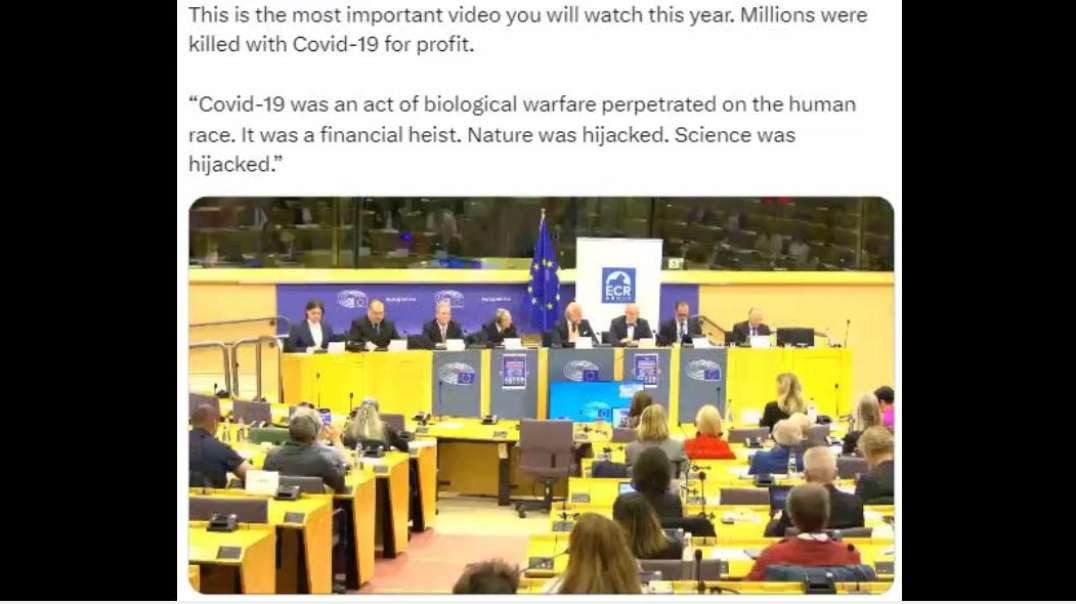 Dr MARTIN BEFORE THE EUROPEAN PARLIAMENT-COVID 19 WAS AN ACT OF BIOLOGICAL WARFARE FOR PROFIT.mp4