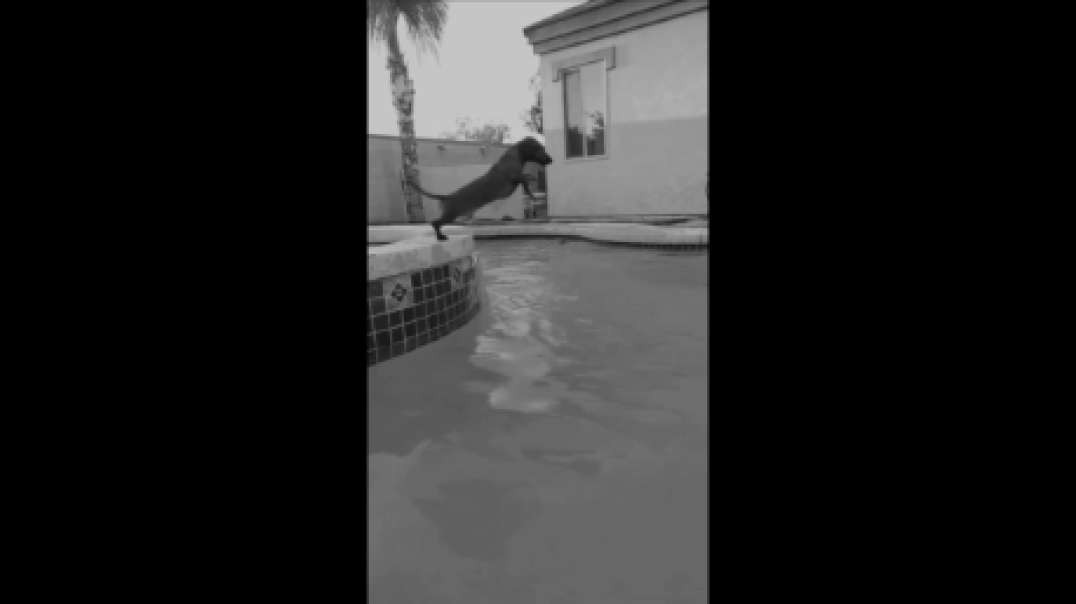 Sausage pool jump