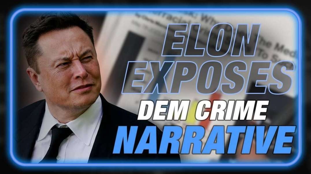 Breaking- Elon Musk Exposes Anti-White Crime Wave Pushed By Deep State