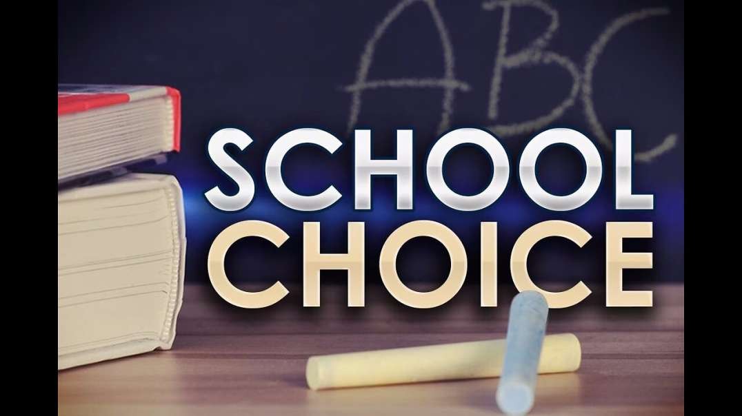 Does "School Choice" Actually Give You School Choice? - Guest: Lynne Taylor
