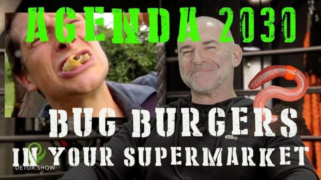 BUG BURGERS IN YOUR SUPERMARKET WITH LEE DAWSON