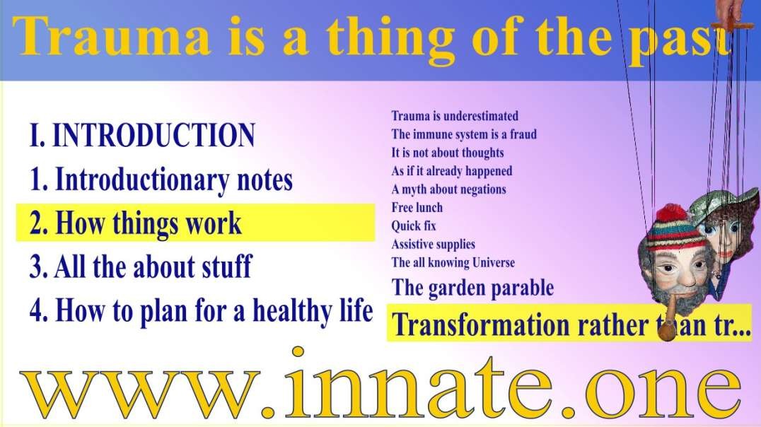 #18 The vet is here! — Trauma is a thing of the past - Transformation rather than translocation