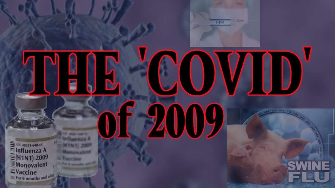The 'Covid' of 2009