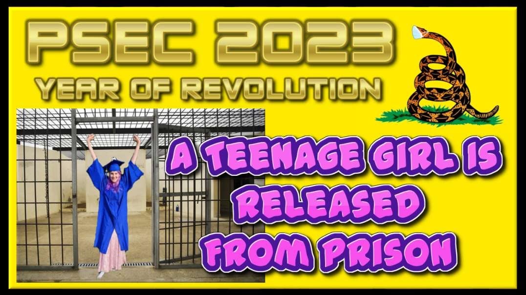 PSEC - 2023 - A Teenage Girl Is Released From Prison | 432hz [hd 480p]