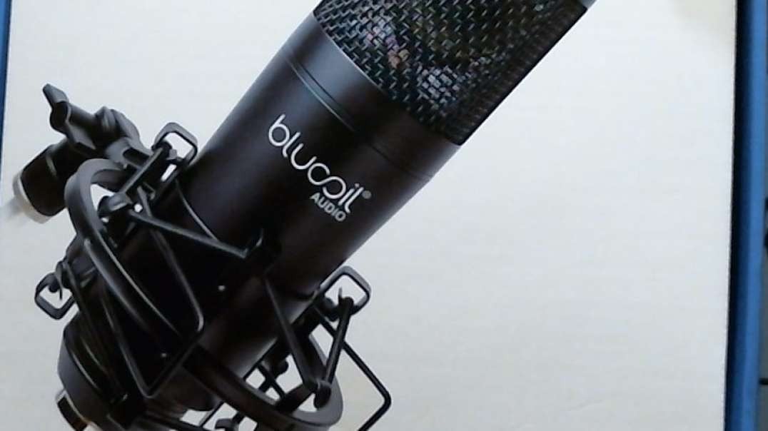 Blu coil condenser microphone Review