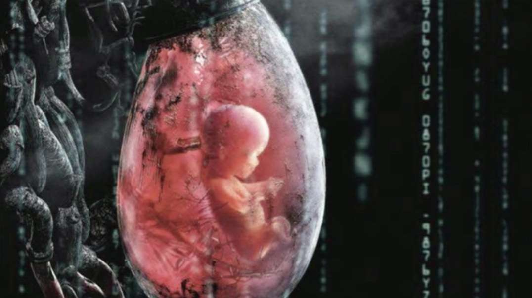 5/15/23  3-Parent DNA Babies, UNESCO Pedo Ed, UN One Health, B_den Crimes #youarefreetv
