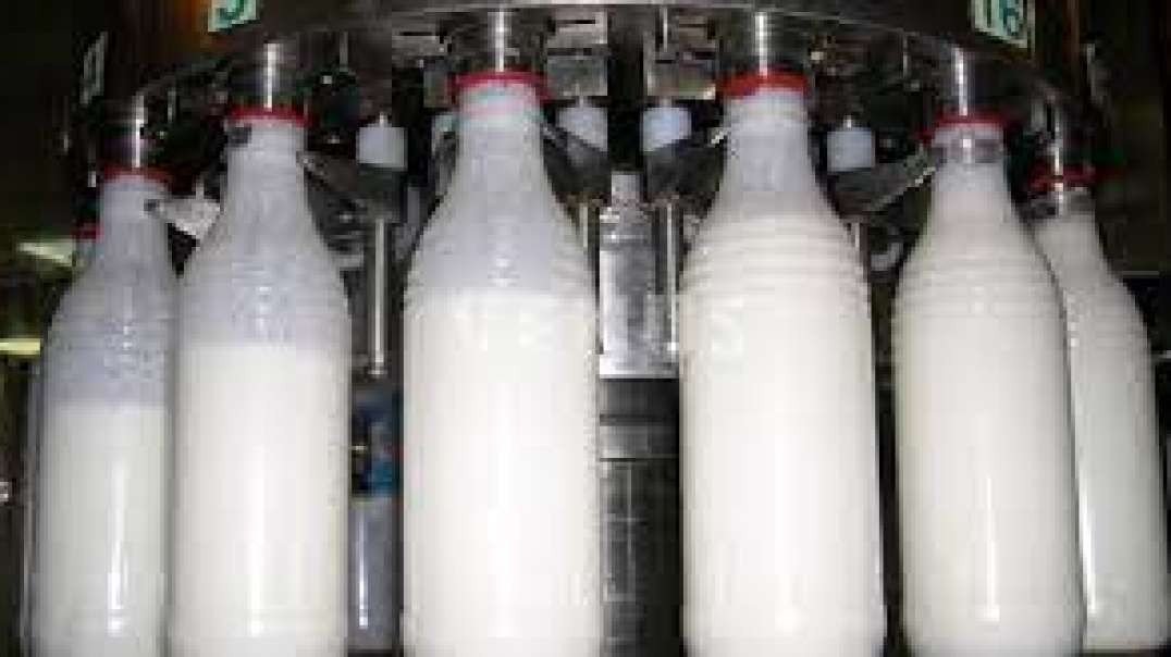 Efficient and Precise Bottle Packing Machine for Dairy Processing - NK Dairy Equipment
