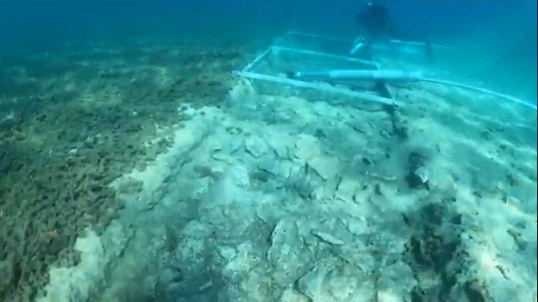 Underwater Archaeologists Discover a 7,000-Year-Old Road in Croatia