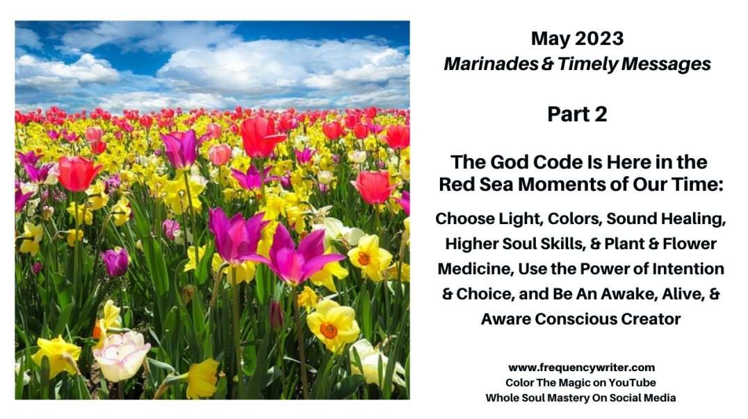 May 2023 Marinades: The God Code Is Here in the Red Sea Moments of Our Time, Use Higher Soul Skills!