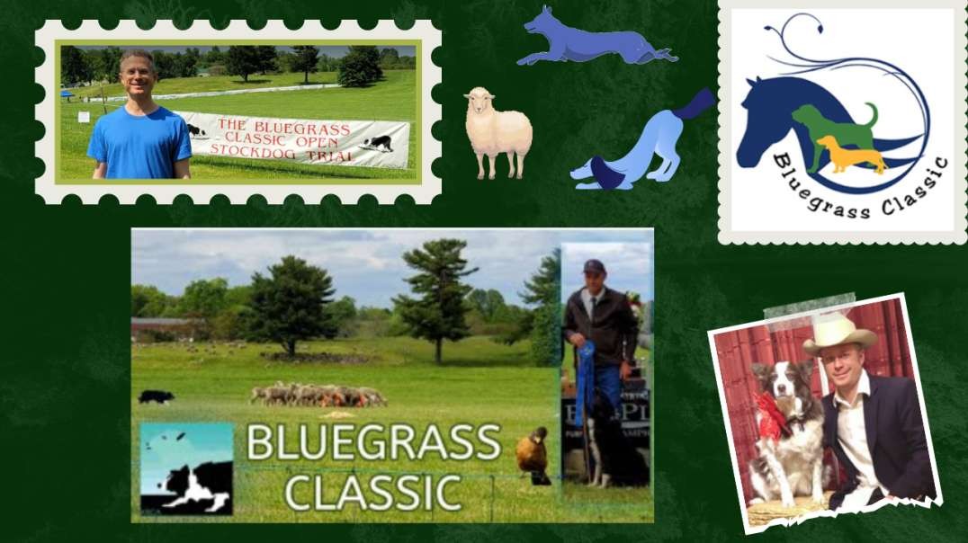 Border Collie Sheepherding Trials- Live at the Bluegrass Classic, Lexington, KY