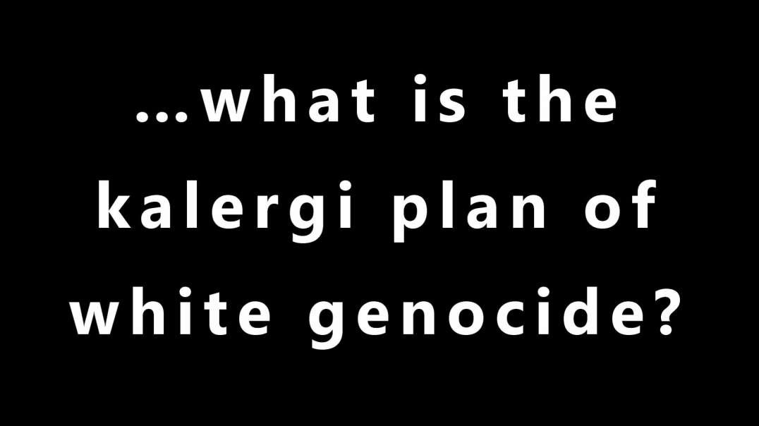 …what is the kalergi plan of white genocide?