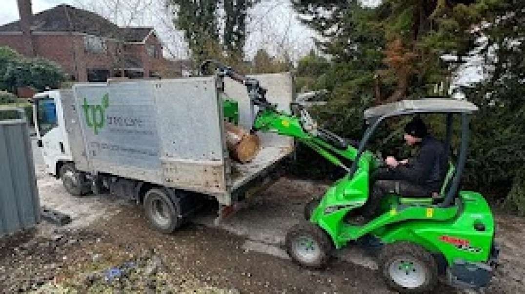Best Tree Removal services in Rochdale