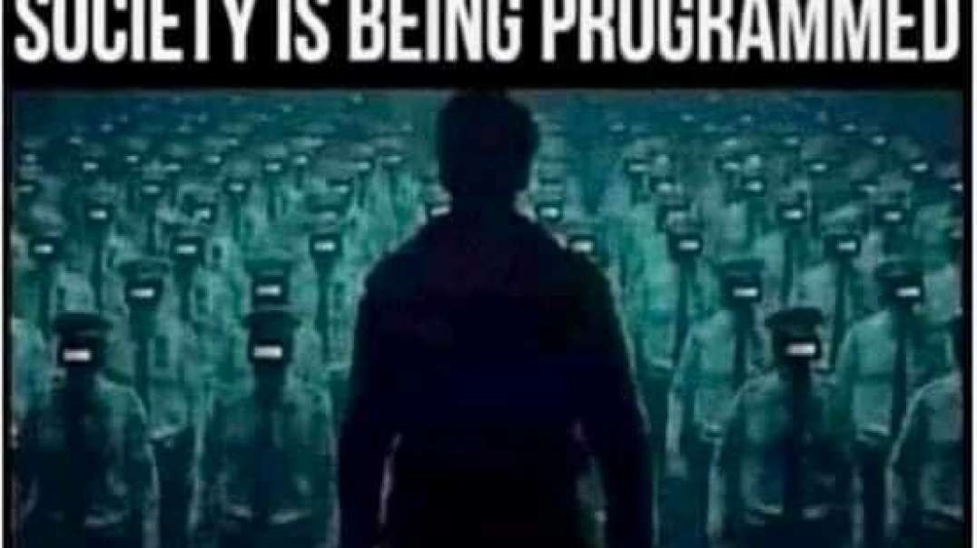 THEY HAD TO TAKE TRUMP DOWN