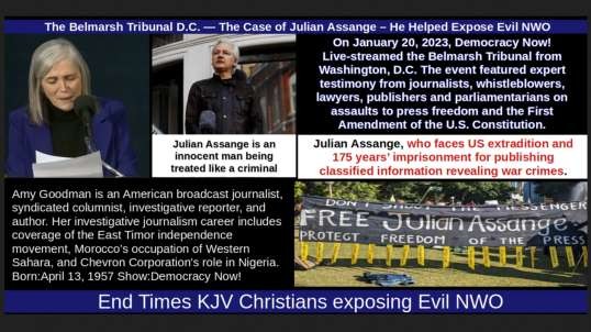 The Belmarsh Tribunal D.C. — The Case of Julian Assange – He Helped Expose Evil NWO