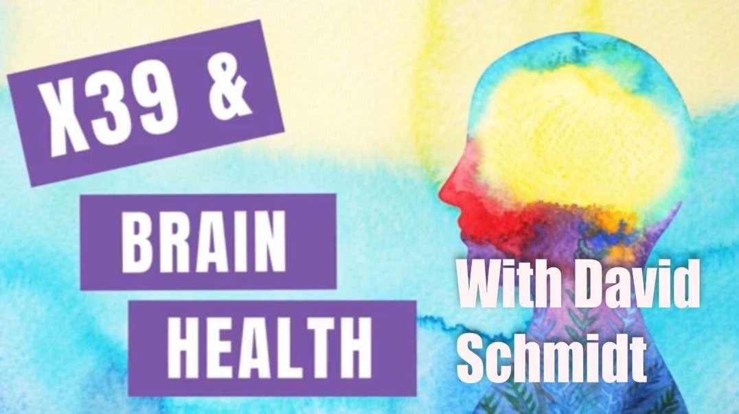 X39 and brain health – David Schmidt