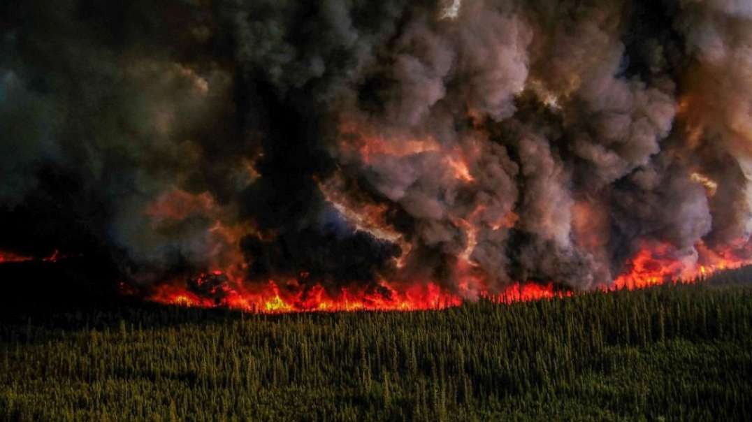 Wildfires All Over The Planet