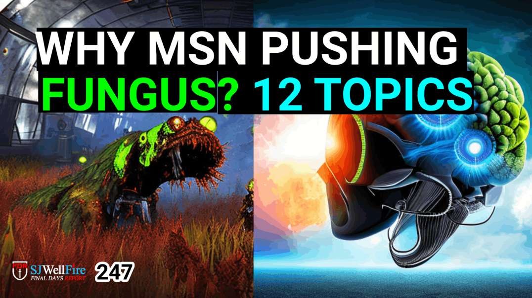 Why is the MSN pushing Fungus So Hard