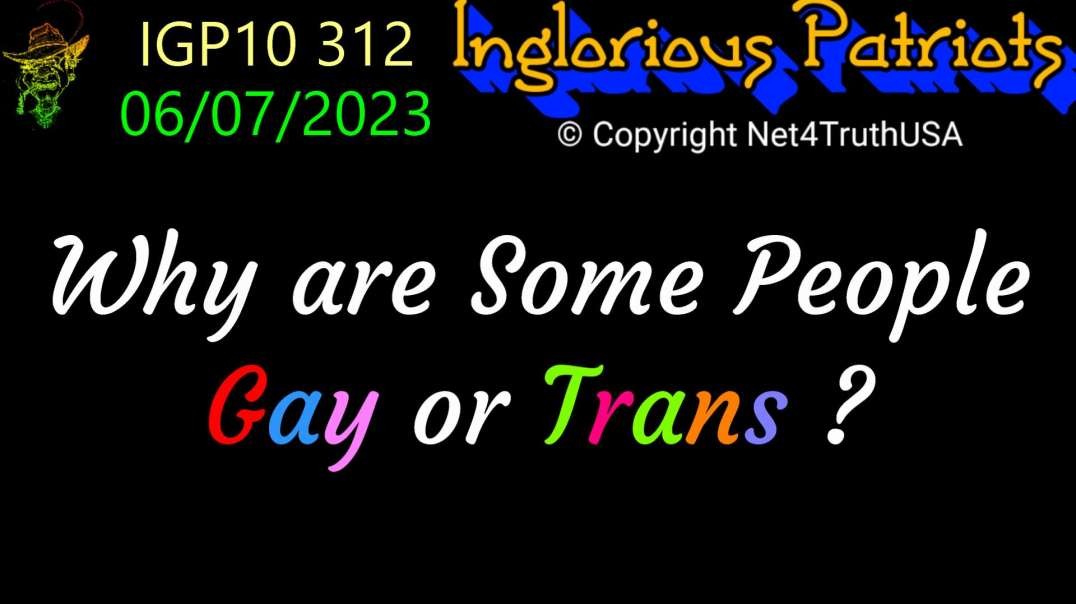 IGP10 312 - Why are Some People Gay or Trans.mp4