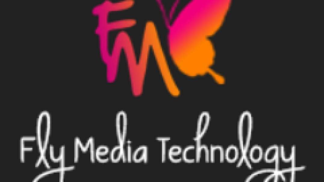 What is SEO? | Flymedia Technology | SEO company in Ludhiana.mp4