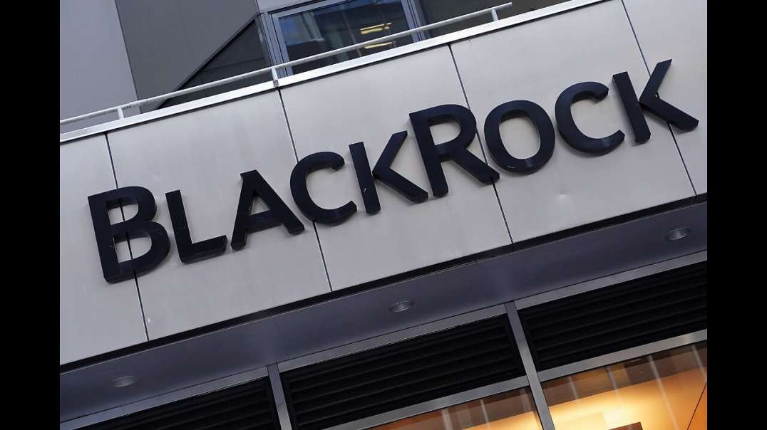 BlackRock: What It Is & Why It Must Be Broken Up - Special Guest Host: Tim Brown
