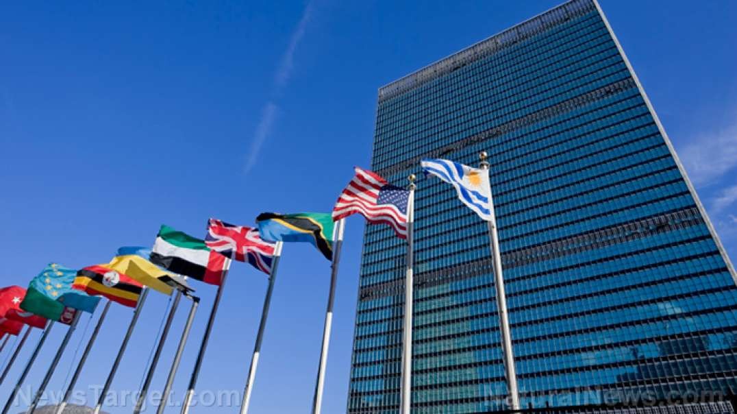 UN’s “A Global Digital Compact” to create Internet 2.0 with no freedom of speech and social credit scores for everyone