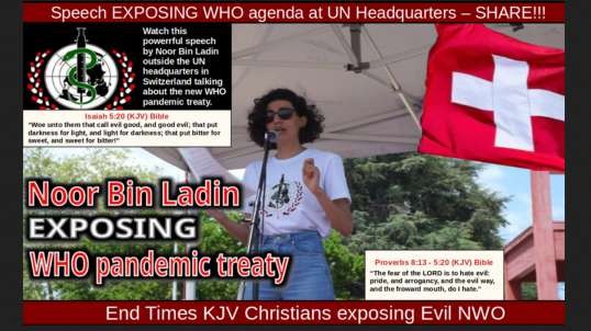 Speech EXPOSING WHO agenda at UN Headquarters – SHARE!!!