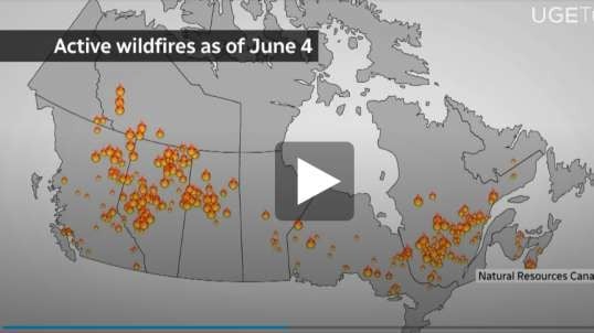 Canada Forest Fires Obviously Part of the NWO Fiery Phoenix Agenda2030: "From the Ashes We Rise"