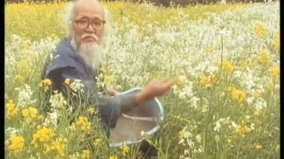 Masanobu Fukuoka - Natural Farming [1994 - Stephen Settele]