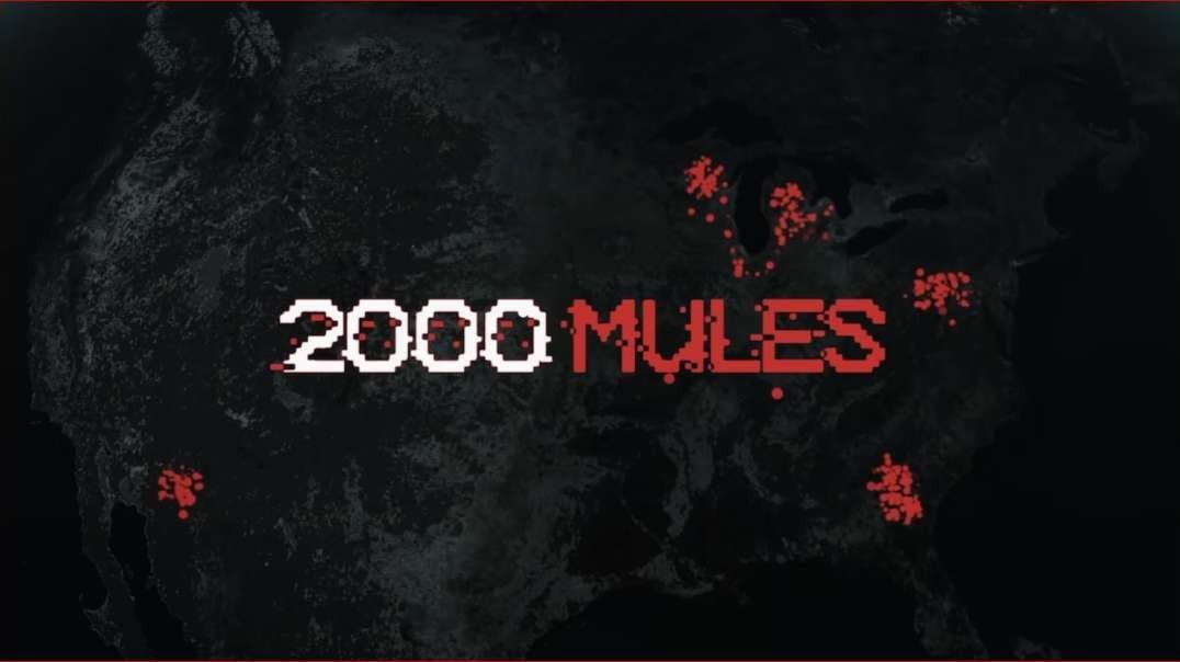 2000 Mules - A Dinesh D’Souza movie