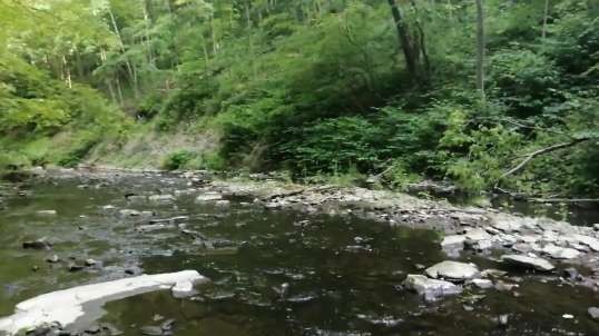 merica2.0media East Palestine Ohio Leslie Run Creek 40min Walk Footage June 1st.mp4