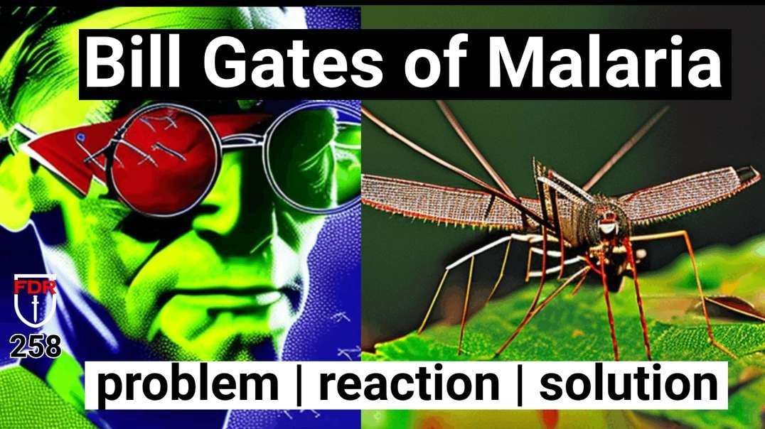 Mosquito Malaria Agenda, Next Plandemic? - Classic Order out of Chaos