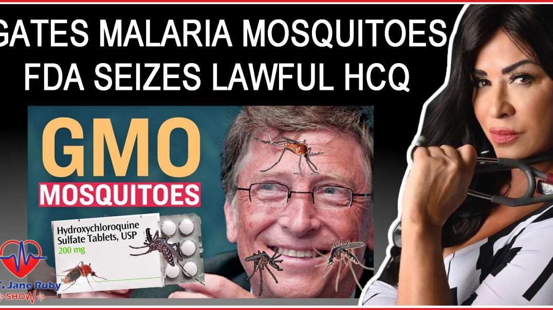 GMO Mosquitoes, Malaria Treatment & Hydroxychloroquine