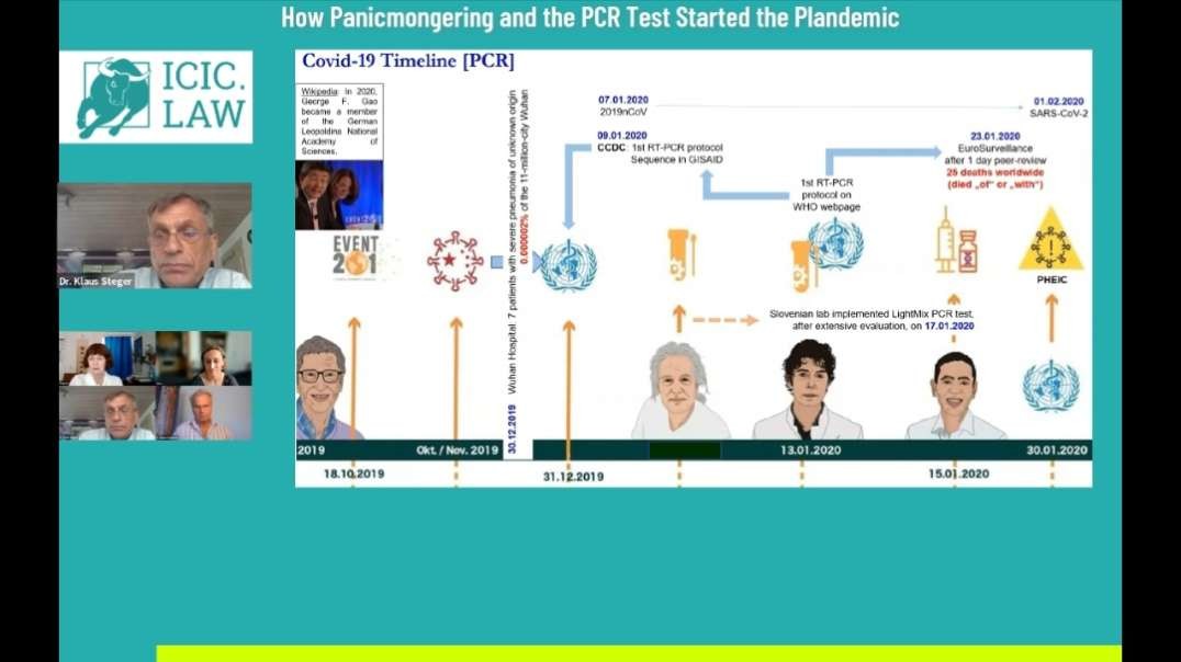 Dr. Soňa Peková and Prof. Dr. Klaus Steger - How Panicmongering and the PCR Test Started the Plandemic - International Crimes Investigative Committee