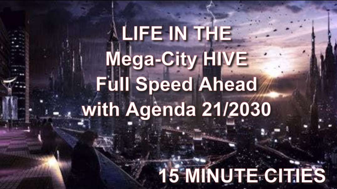 LIFE IN THE Mega-City HIVE with Tom Deweese