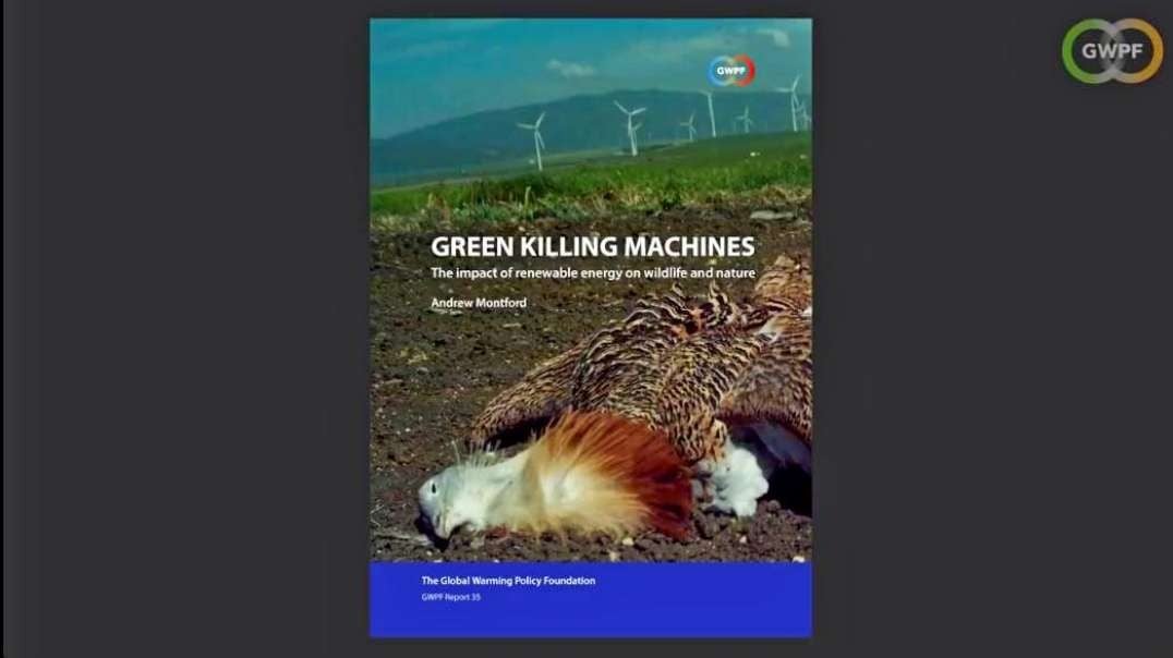 Green Killing Machines - The impact of renewable energy on wildlife and nature.mp4