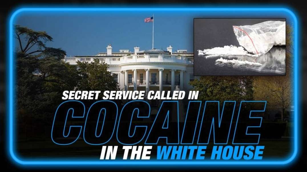 Learn Why the Secret Service Called the Local Haz-Mat Team Over Cocaine Found at the White House